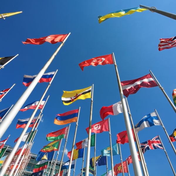 Export & Trade