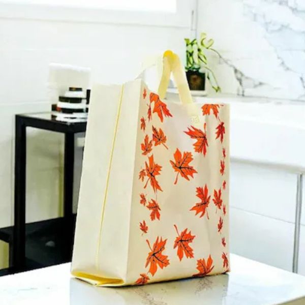 bags 3
